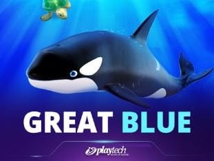 Great Blue screenshot