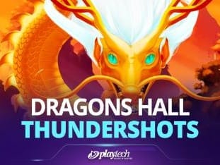 Dragons Hall™ screenshot